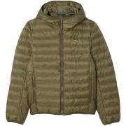 Donsjas Lacoste Quilted Puffer Jacket Khaki Green