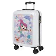 Reiskoffer Skpat Niza