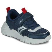 Lage Sneakers Geox J LOFTUS BOY B