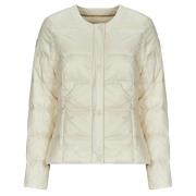 Donsjas JOTT CHRISTY