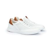 Lage Sneakers Lloyd -