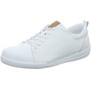 Lage Sneakers Andrea Conti -