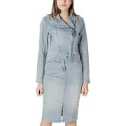 Blazer Morgan 241-VAMMY