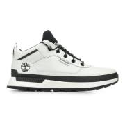 Sneakers Timberland Field Trekker Low Lace Sneaker