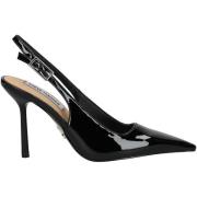 Pumps Steve Madden Pumps
