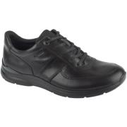 Lage Sneakers Ecco Irving GTX