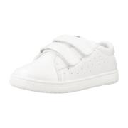 Lage Sneakers Chicco CLESS