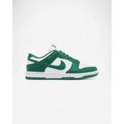 Lage Sneakers Nike Dunk Low Next Nature Bicoastal (Women's)