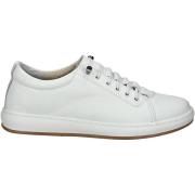 Lage Sneakers Andrea Conti Sneaker