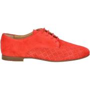 Nette schoenen Lloyd Halfhoge schoenen