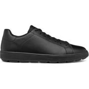 Lage Sneakers Geox Sneaker