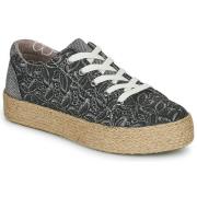 Lage Sneakers Café Noir C1DG9050