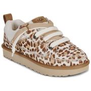 Lage Sneakers UGG LO LOWMEL PLAINS