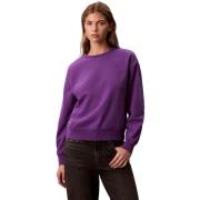 Sweater Ck Jeans Ls Archive Logo Fren