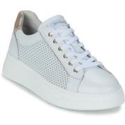 Lage Sneakers NeroGiardini E615274D-707