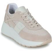 Lage Sneakers NeroGiardini E615182D-677