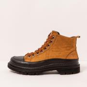 Low Boots Art 1189511SH003