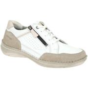Lage Sneakers Josef Seibel -