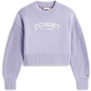 Trui Tommy Hilfiger Tommy Sweater