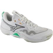 Lage Sneakers Mizuno Wave Momentum Elite