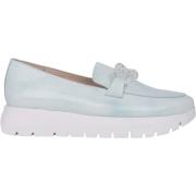 Ballerina's Wonders Iris