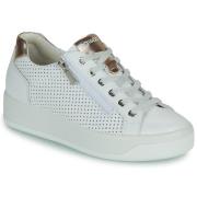 Lage Sneakers IgI&amp;CO D.AVA