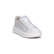 Lage Sneakers NeroGiardini 615274D707
