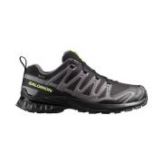 Lage Sneakers Salomon Xa Pro 3d V9 Gtx