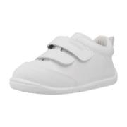 Sneakers Titanitos B500 ORSO