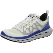 Lage Sneakers Ecco -