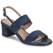 Sandalen Geox D AURELY 50