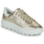 Lage Sneakers Geox -