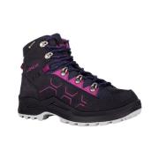 Wandelschoenen Lowa Evo Gtx Mid
