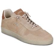 Lage Sneakers Cetti C-1379-V26-ANTE-DESSERT