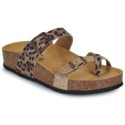 Slippers Plakton CP BOMBAY