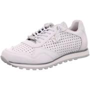 Lage Sneakers Cetti -