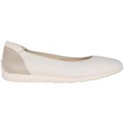 Ballerina's Ara Sardinia