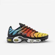 Lage Sneakers Nike Air Max Plus Baltic Blue Safety Orange