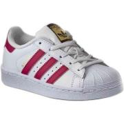 Lage Sneakers adidas BA8382