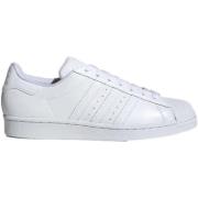 Lage Sneakers adidas EG4960