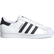 Lage Sneakers adidas EG4958