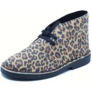 Laarzen Clarks Desert Bt Evo