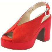 Sandalen NeroGiardini E513646D Velour