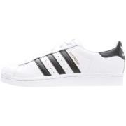 Lage Sneakers adidas C77124