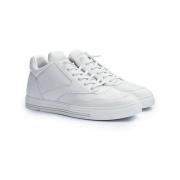 Lage Sneakers Lloyd -