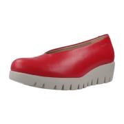 Ballerina's Wonders C33100