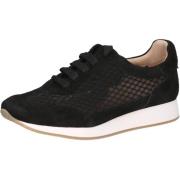 Lage Sneakers Peter Kaiser Sneaker
