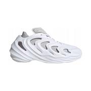 Lage Sneakers adidas Adifom Q