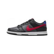 Lage Sneakers Nike Dunk Low Gs