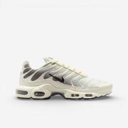 Lage Sneakers Nike TN Air Max Plus Light Orewood Brown